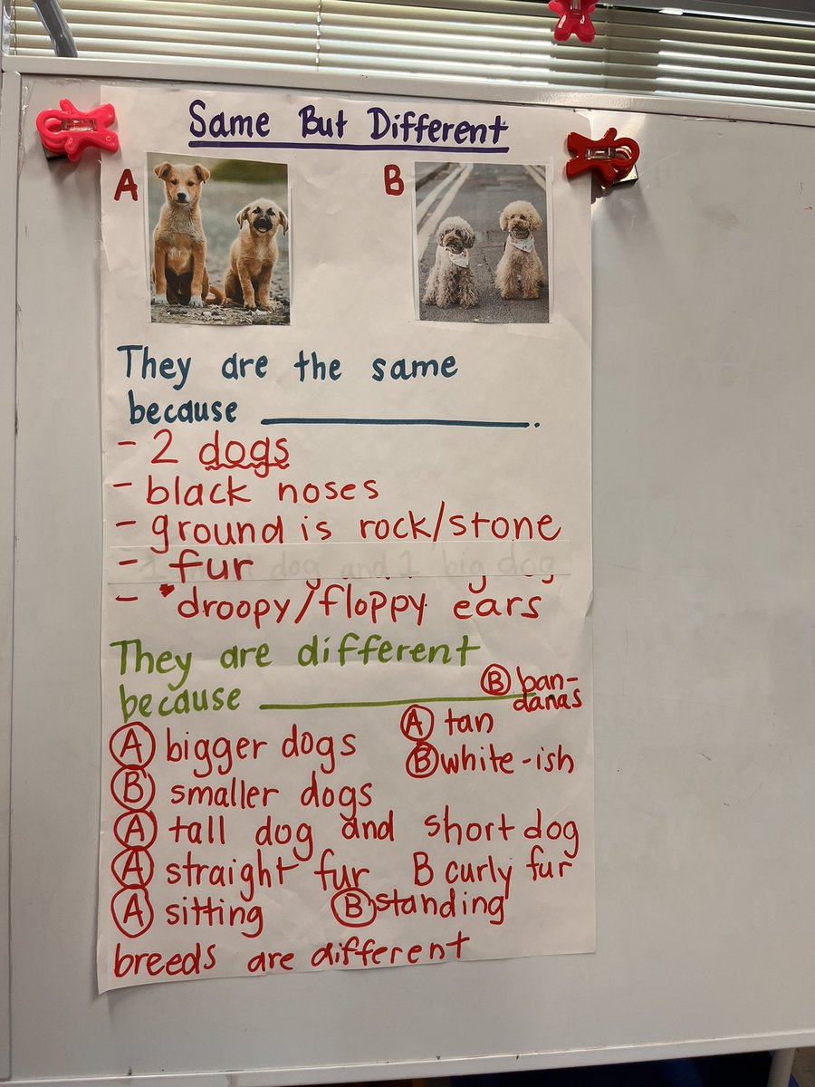 Students absolutely loved this number sense routine. <a href="/TimberLaneES/">Timber Lane ES</a> #samebutdifferent