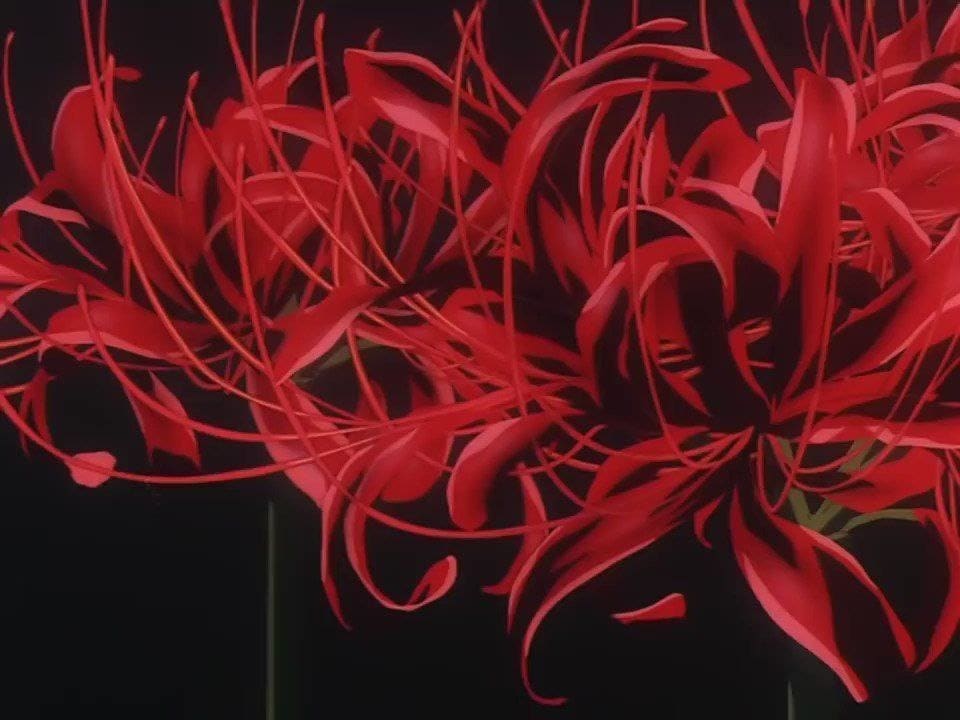 ArtEater  on Twitter If you watch a lot of anime youve  almost certainly seen this flower before Nice article on the significance  of spider lilies in Japanese culture here httpstcozyvLbtZyc6  httpstcoIDFPJxJOue 