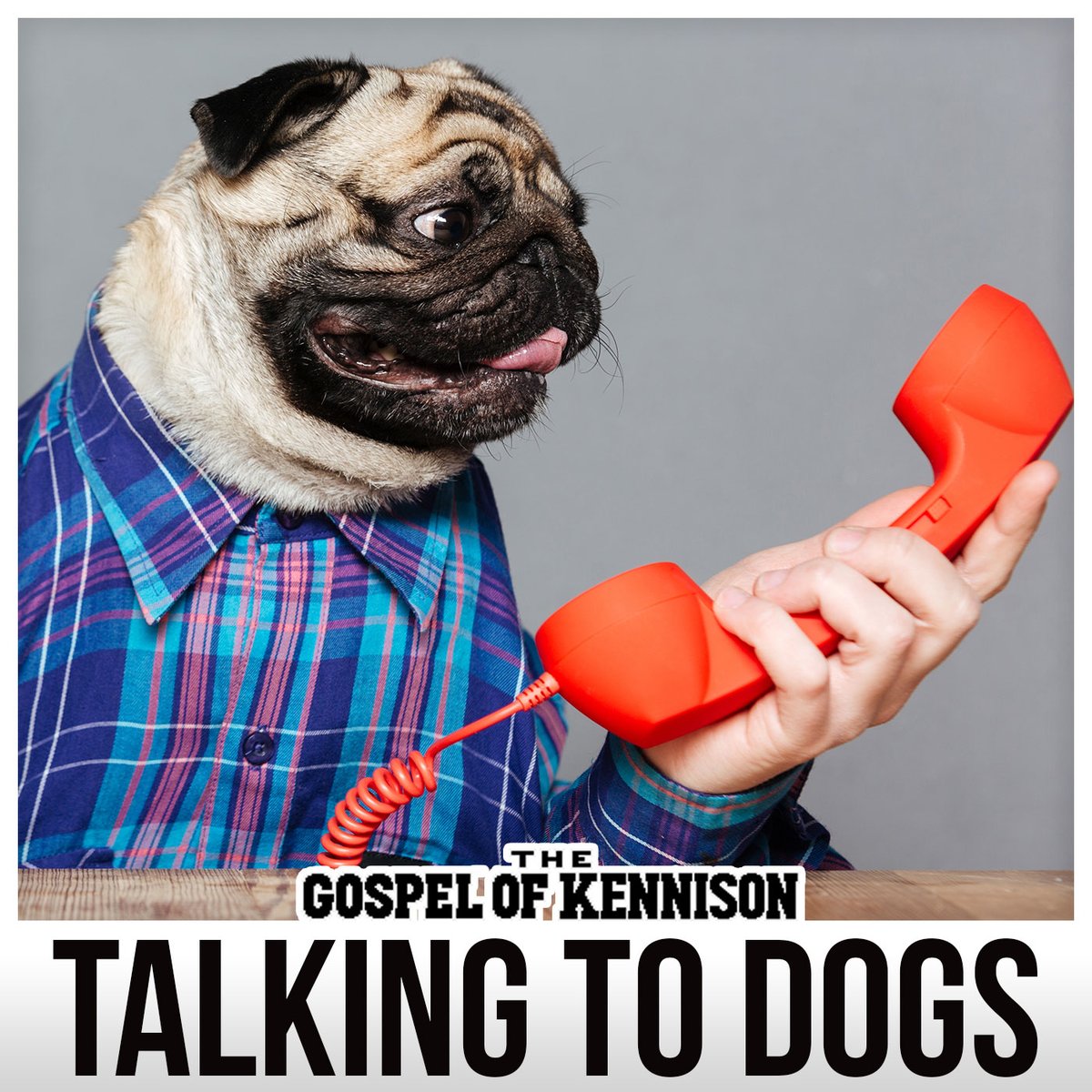 jameswkennison's tweet photo. New GOK: Chatting about counseling, embarrassment, Google Translate, and using English with dogs.
#journal #audiojournal #depression #anxiety #podcast #mentalhealth #healing

Apple Podcasts: https://t.co/27L7mtiiJD
Spotify: https://t.co/rASwhKeZd4 https://t.co/tZImP5yNMx