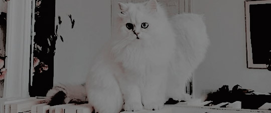 ㅤㅤㅤㅤㅤ       

           𝒀𝒐𝒖 𝒔𝒂𝒊𝒅 𝑰 𝒘𝒂𝒔 𝒕𝒉𝒆 𝒎𝒐𝒔𝒕 
           𝒆𝒙𝒐𝒕𝒊𝒄 𝒇𝒍𝒐𝒘𝒆𝒓,
           𝐻𝑜𝑙𝑑𝑖𝑛𝑔 𝑚𝑒 𝑡𝑖𝑔ℎ𝑡 𝑖𝑛 𝑜𝑢𝑟 𝑓𝑖𝑛𝑎𝑙 ℎ𝑜𝑢𝑟.
               ㅤ