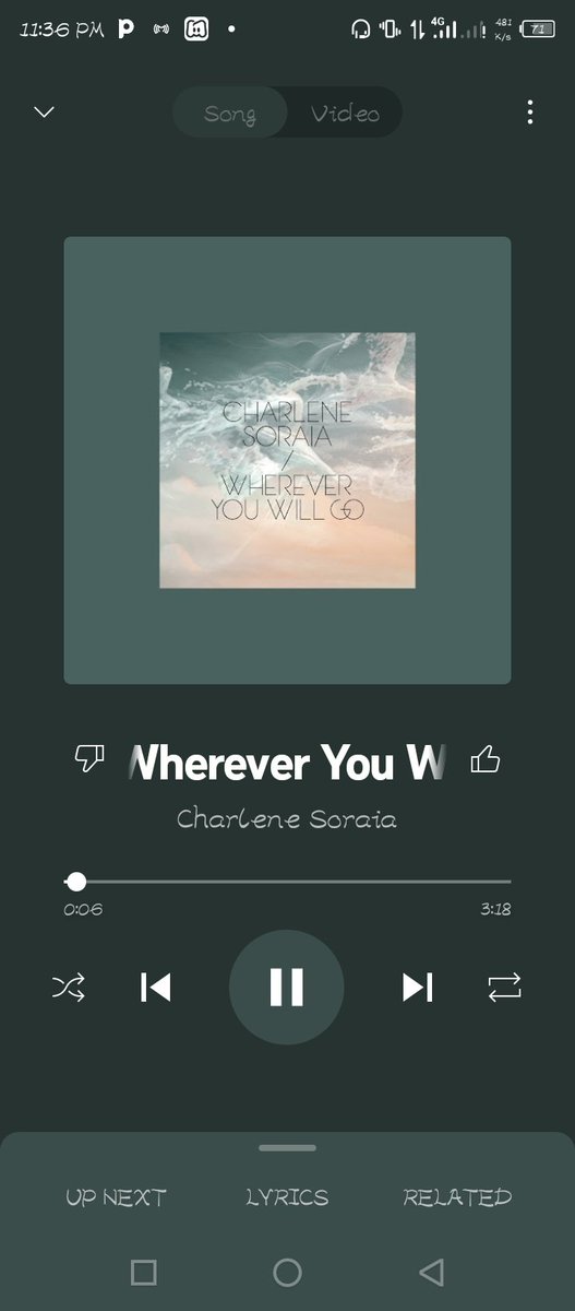 #whereyouwillgo #charlenesoraia