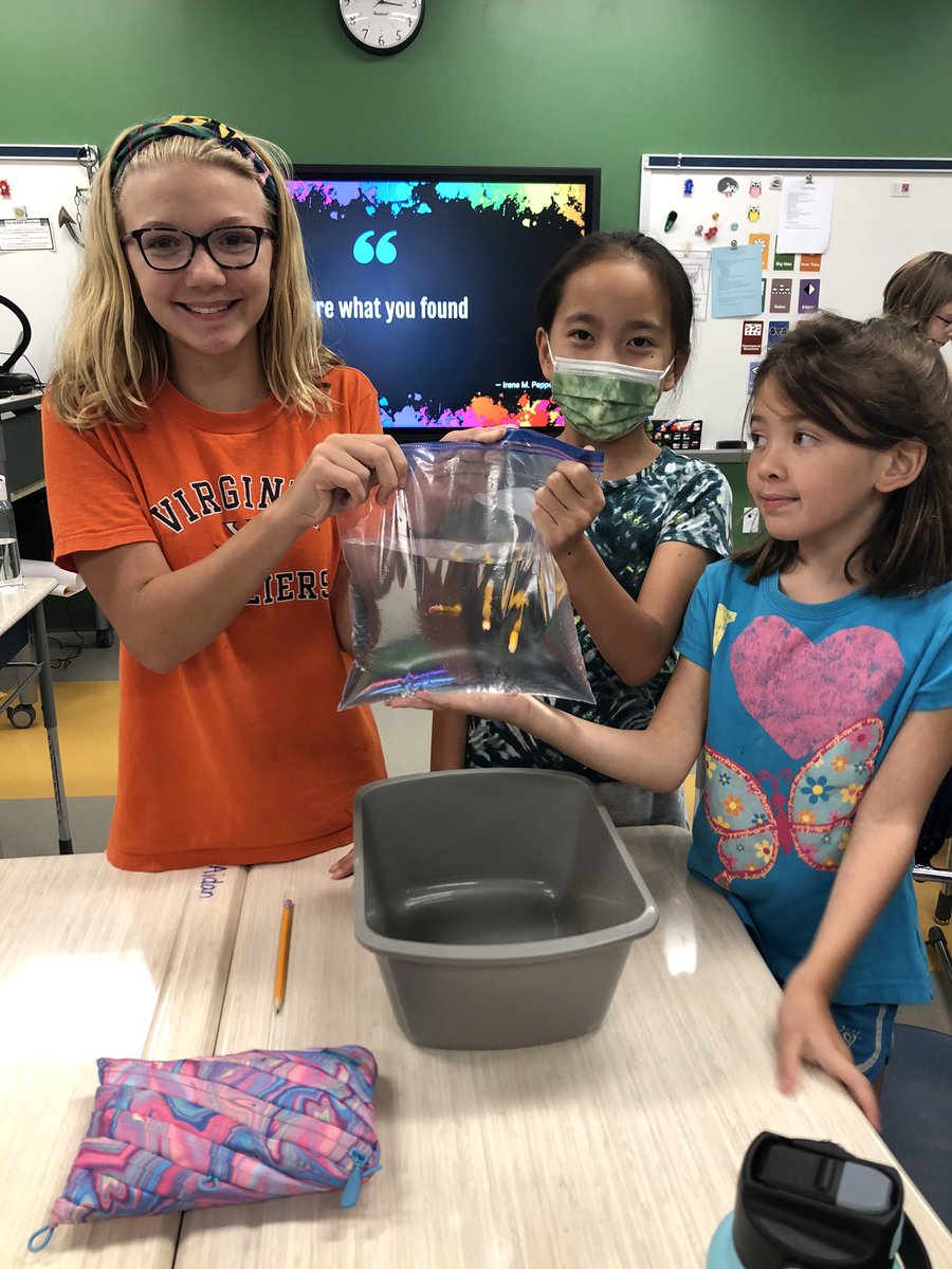 Adrianne Ogburn tweet media