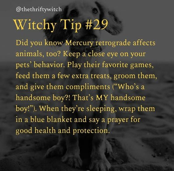 thewitchbrmclst's tweet photo. Witchy Tp #29 https://t.co/d1OKPVn9Mp