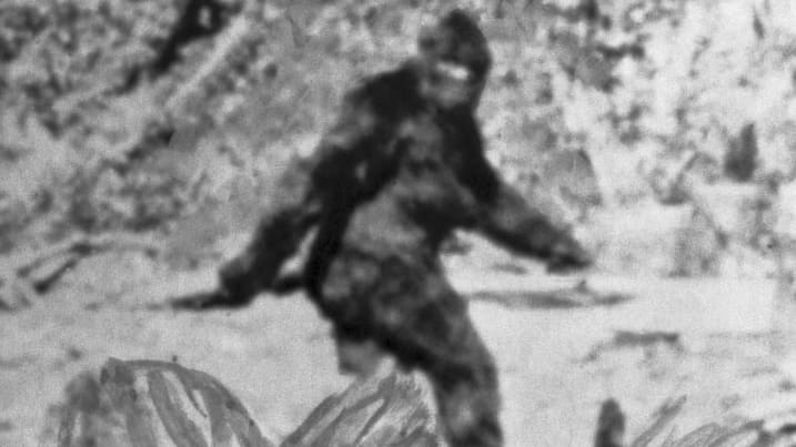 Vyvyan Fellasterd 🇺🇲🌵🇺🇦 tweet media