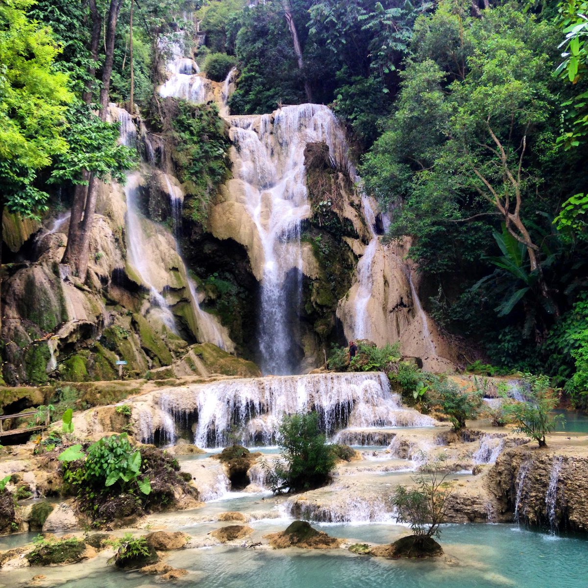 Free & Easy Traveler tweet media