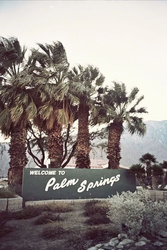 Palm Springs is the place to be 🌴