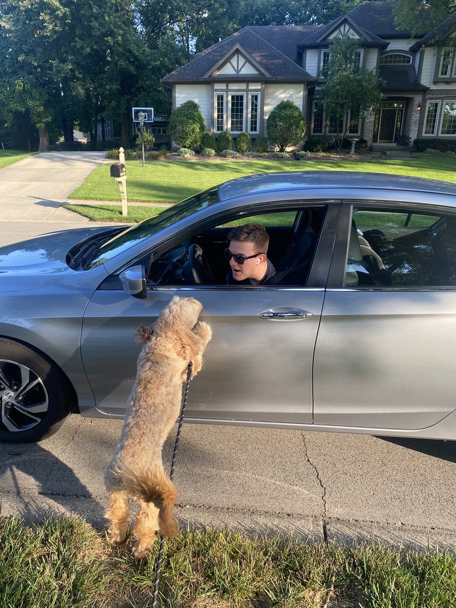 morgan_uit's tweet photo. when you’re on your evening walk and dad is getting home from work at the same time 🐶 @kyleuit https://t.co/SUakqiUJl9