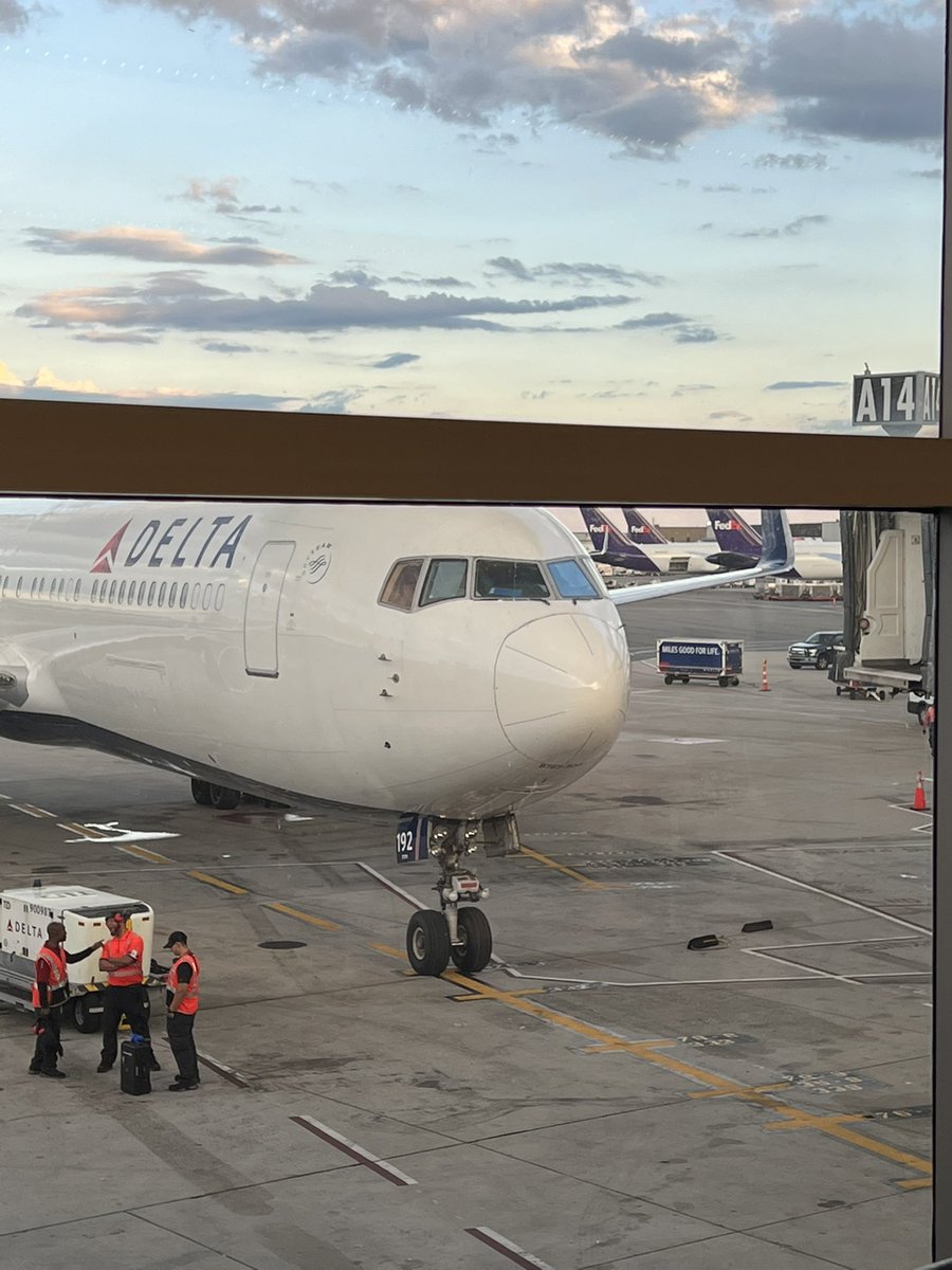 Steven Reingold tweet media