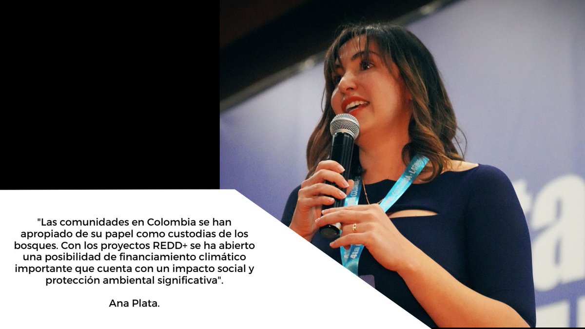 BIOFIX2's tweet image. #CumbreDelClimaCol |👉Estos son algunos destacados importantes en la intervención de @aplatafa, Gerente de #Biofix y presidente de la Junta Directiva de @Asocarbonocol, relacionados con el Mercado, comunidades étnicas y el potencial de Colombia en mitigación de GEI. 🌱