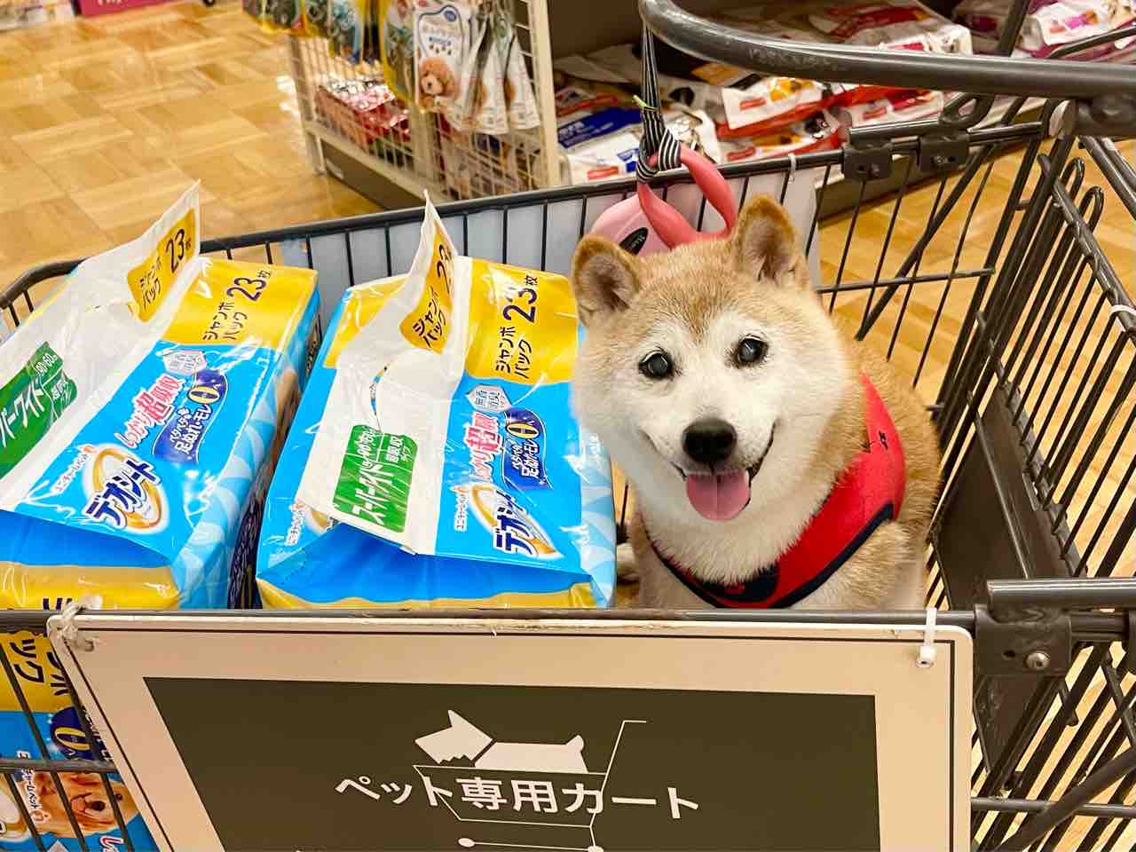 かぼすママ Kabosumama Twitter