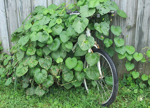 DANIELFJAMES tweet media