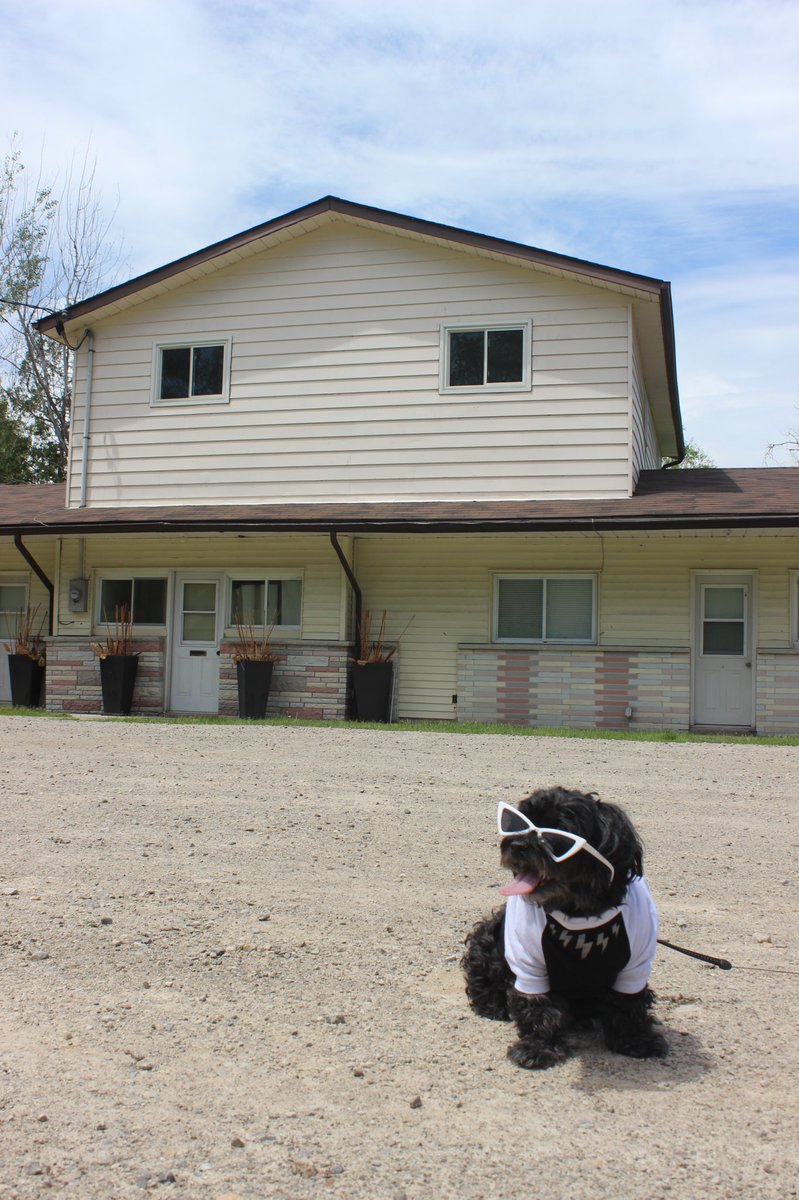 Paulsicle's tweet photo. @CBC Zoe is the ultimate CBC fan #schittscreek ❤️ https://t.co/abnpT1QM7v