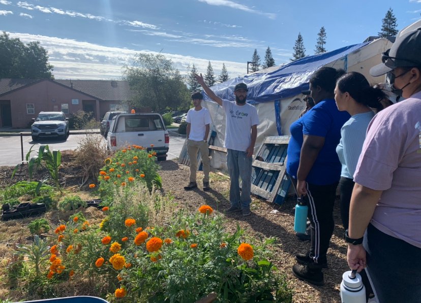 LandBasedEd's tweet photo. Our #ThousandStrong Interns from Grant Union High School got to visit We Grow Urban Farm. Here Farmer Nelson is teaching them how to use marigold flowers to make a natural liquid pesticide!
#wegrowfarmers #youthleadership 🐞🐝🦋 https://t.co/DUdjAtUI1r