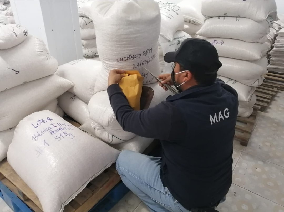 Agricultura_CZ4's tweet photo. Inspectores de Semillas realizan toma de muestras de Maíz en plantas de Beneficio y Almacenamiento para el análisis de germinación, vigor y pureza en laboratorios de @AgrocalidadEC, previo a la autorización de emisión de marbetes y comercialización certificadas según la #LOASFAS. https://t.co/fIQ7emMaYk