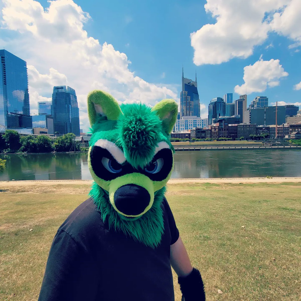 rachetracc's tweet photo. Do you have any trash 👁️👄👁️

#furry #furryfandom #fursuit #fursuiter #terrakun #FursuitEveryday https://t.co/VrAa44EBo7