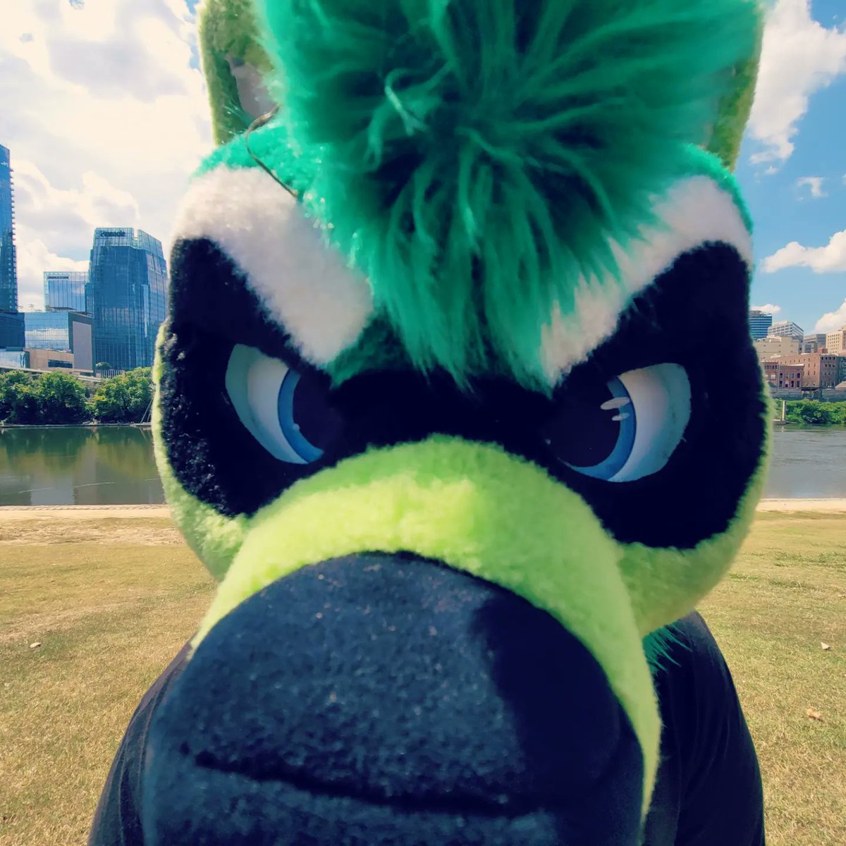 rachetracc's tweet photo. Do you have any trash 👁️👄👁️

#furry #furryfandom #fursuit #fursuiter #terrakun #FursuitEveryday https://t.co/VrAa44EBo7