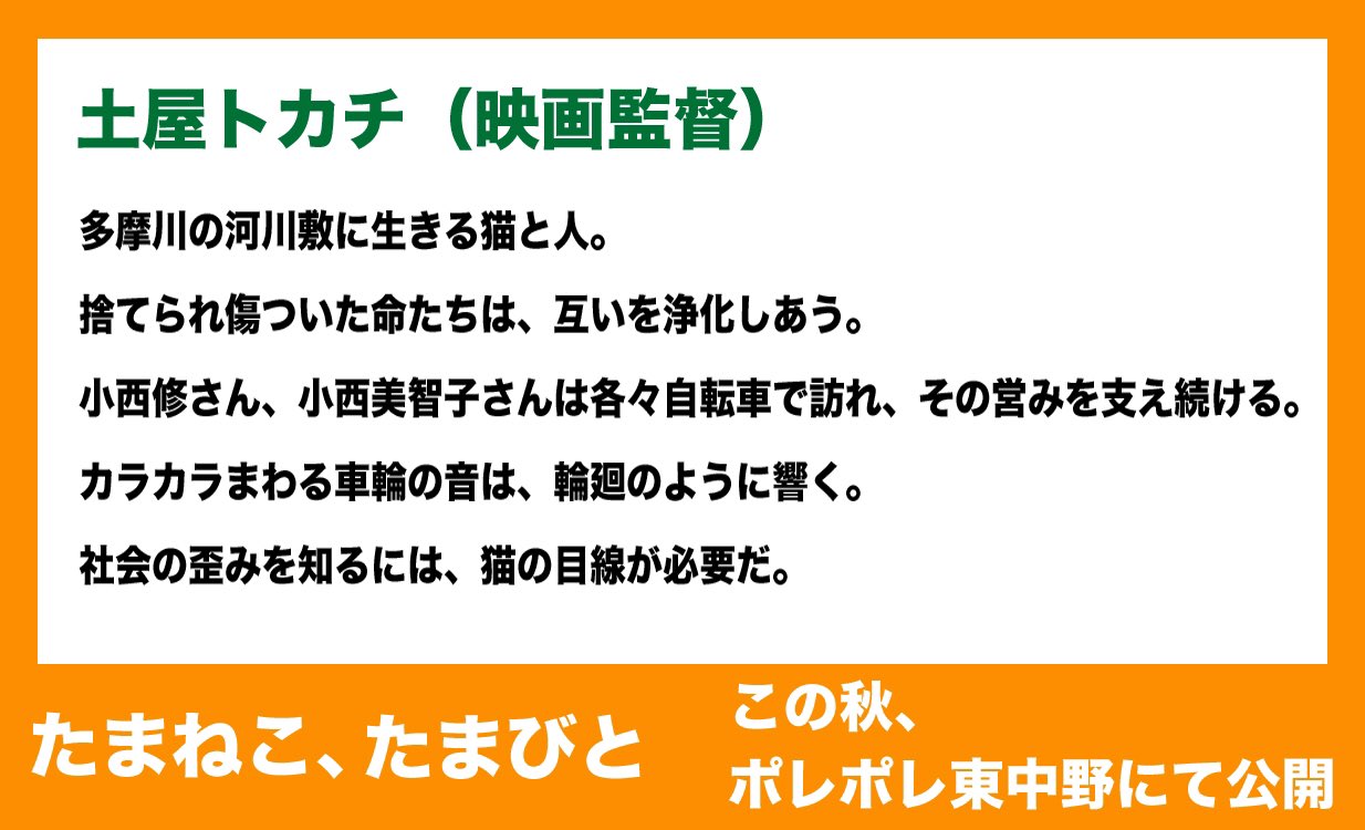 「たまねこ、たまびと」村上浩康（製作・監督） on Twitter 