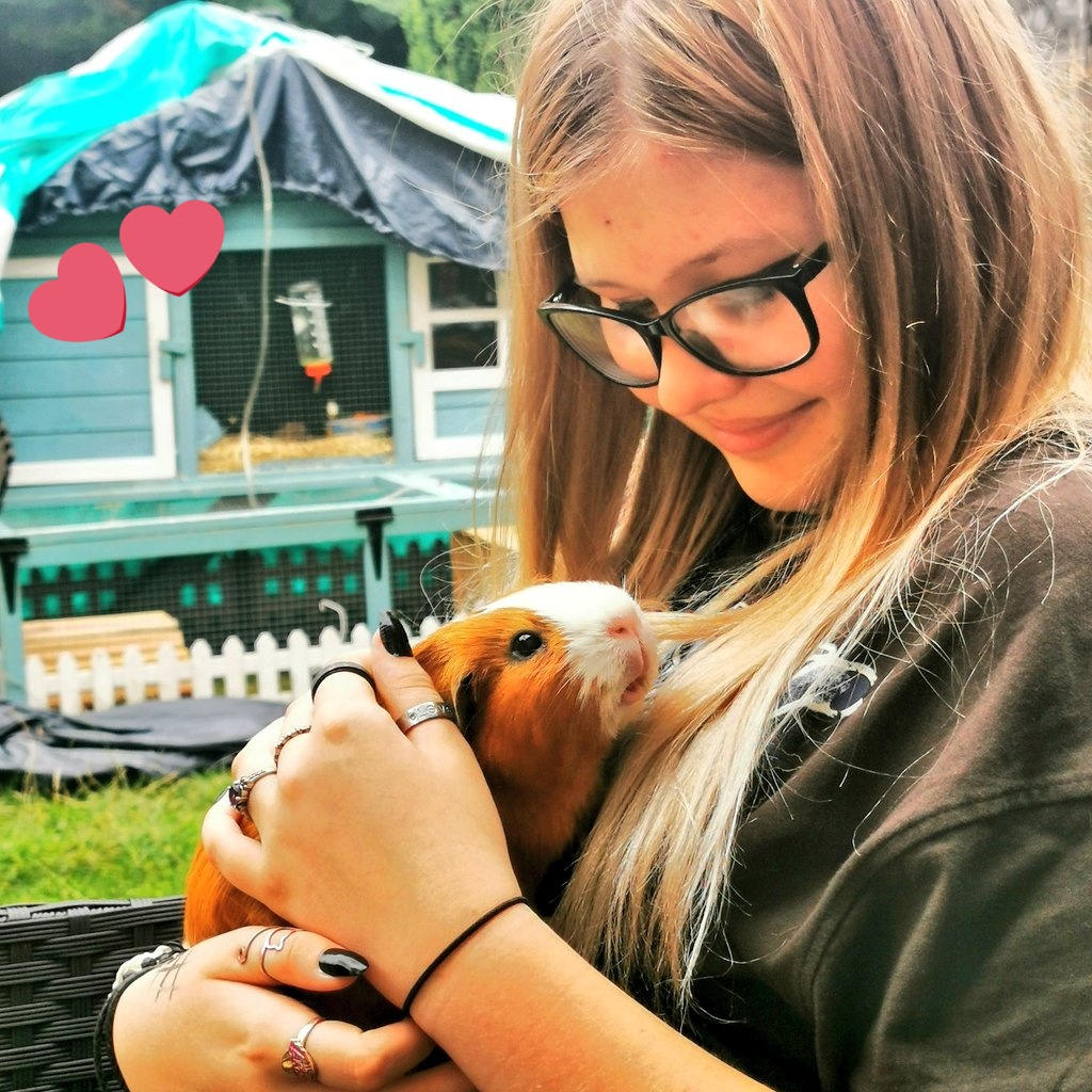 danielle overend-hogg tweet media