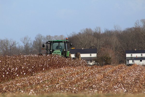 DANIELFJAMES tweet media