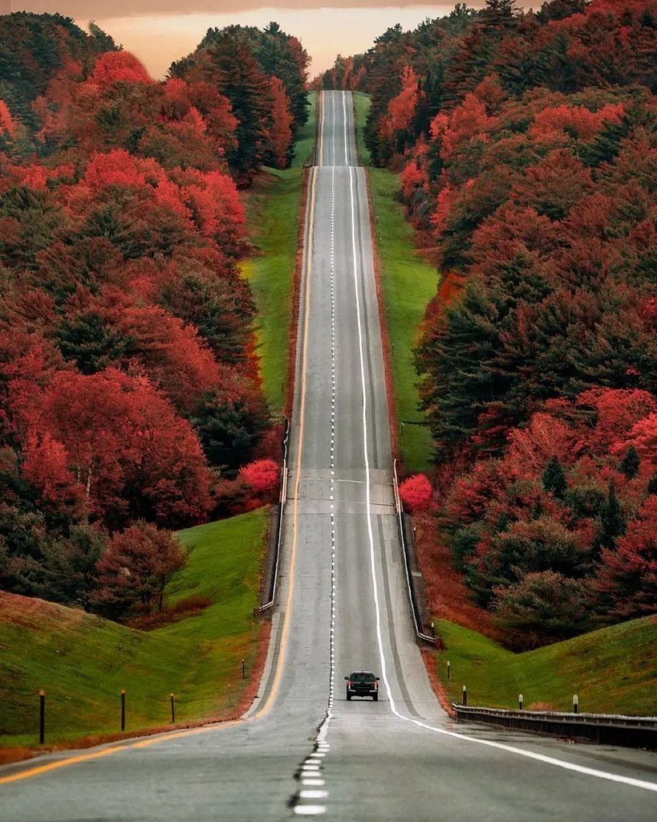 Jojozoey1's tweet photo. Have a great one😊
Peaceful moment & HB 2 U💖🎉🍾
#photography
#peaceful
#thingsbetter
#laughtermany
#keepsmiling
#lookingforward
#stayhealthy
#StayStrong
#LovePeace
#autumnfall
#写真好きな人と繋がりたい https://t.co/MF8kzz0iYa