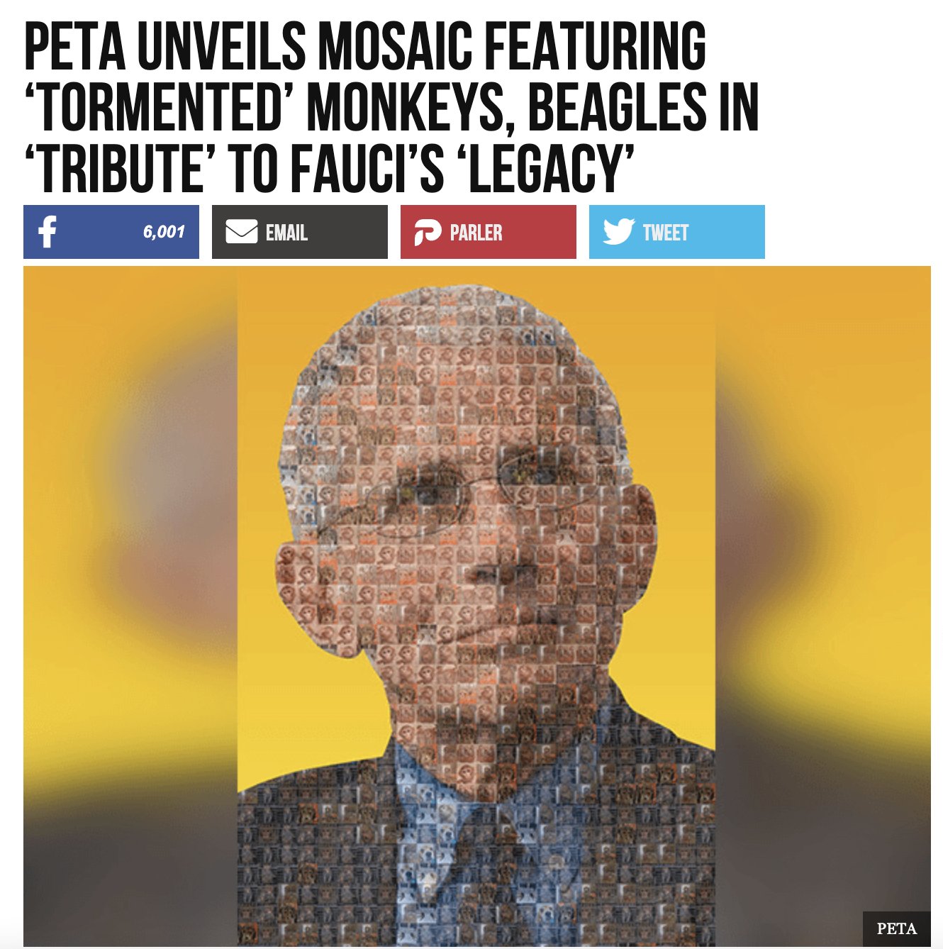 PETA pays tribute to Anthony Fauci | Political Talk
