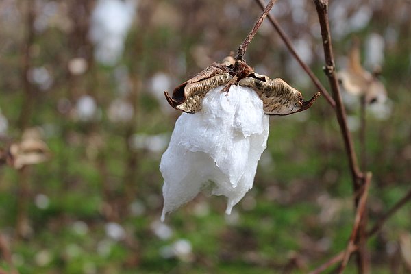 DANIELFJAMES tweet media