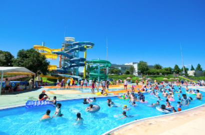 悲観的 マガジン ハイブリッド 熊本 プール 屋内 代名詞 機関車 パーティー