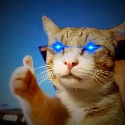 Winnie98109568's tweet photo. ABCDE Capital, an investment fund founded by Huobi co-founder Du Jun, purchased 20% of the BEND token supply through strategic cooperation to ensure BendDAO's 10k ETH liquidity https://t.co/BiAfnVkwBD