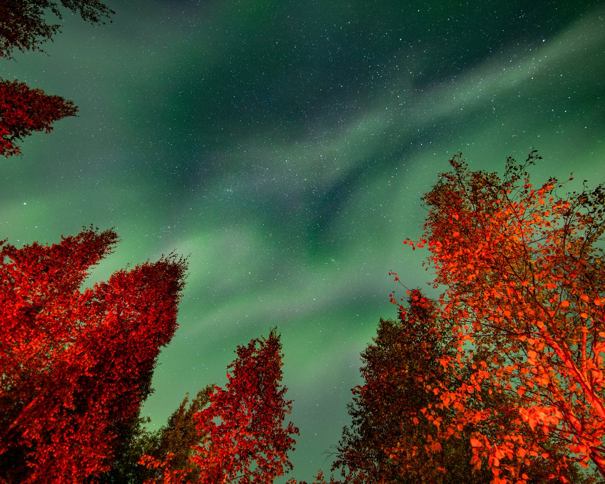 KrisLuckPhoto's tweet photo. northern lights i couldn't believe were real https://t.co/ttRgdfO7IB