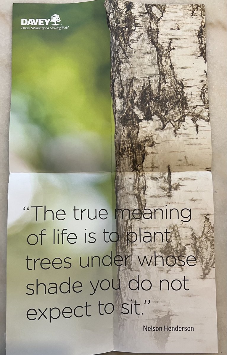 💜 Got this today from our Arborist friends at ⁦<a href="/DaveyTree/">Davey Tree Expert Co</a>⁩ made me think of our beautiful saplings being grown by ⁦<a href="/TreeFolks/">TreeFolks</a>⁩ of the Pease ES Cupcake tree! Looking forward to that celebration with friends “underneath the Pease Tree it’s where I raise my family”…