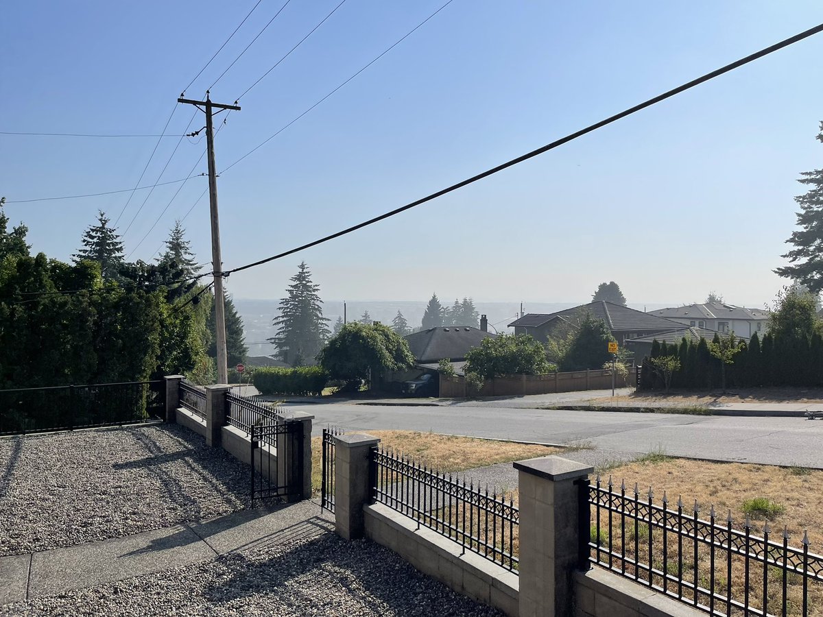 Badgerxxxface tweet media