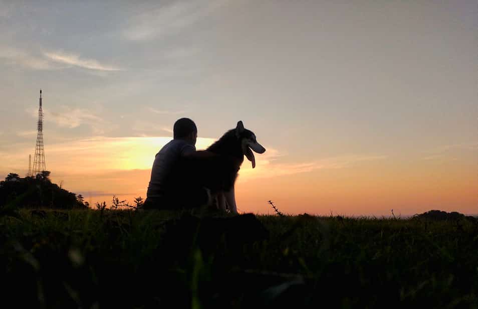 Cliper &amp; Yo
