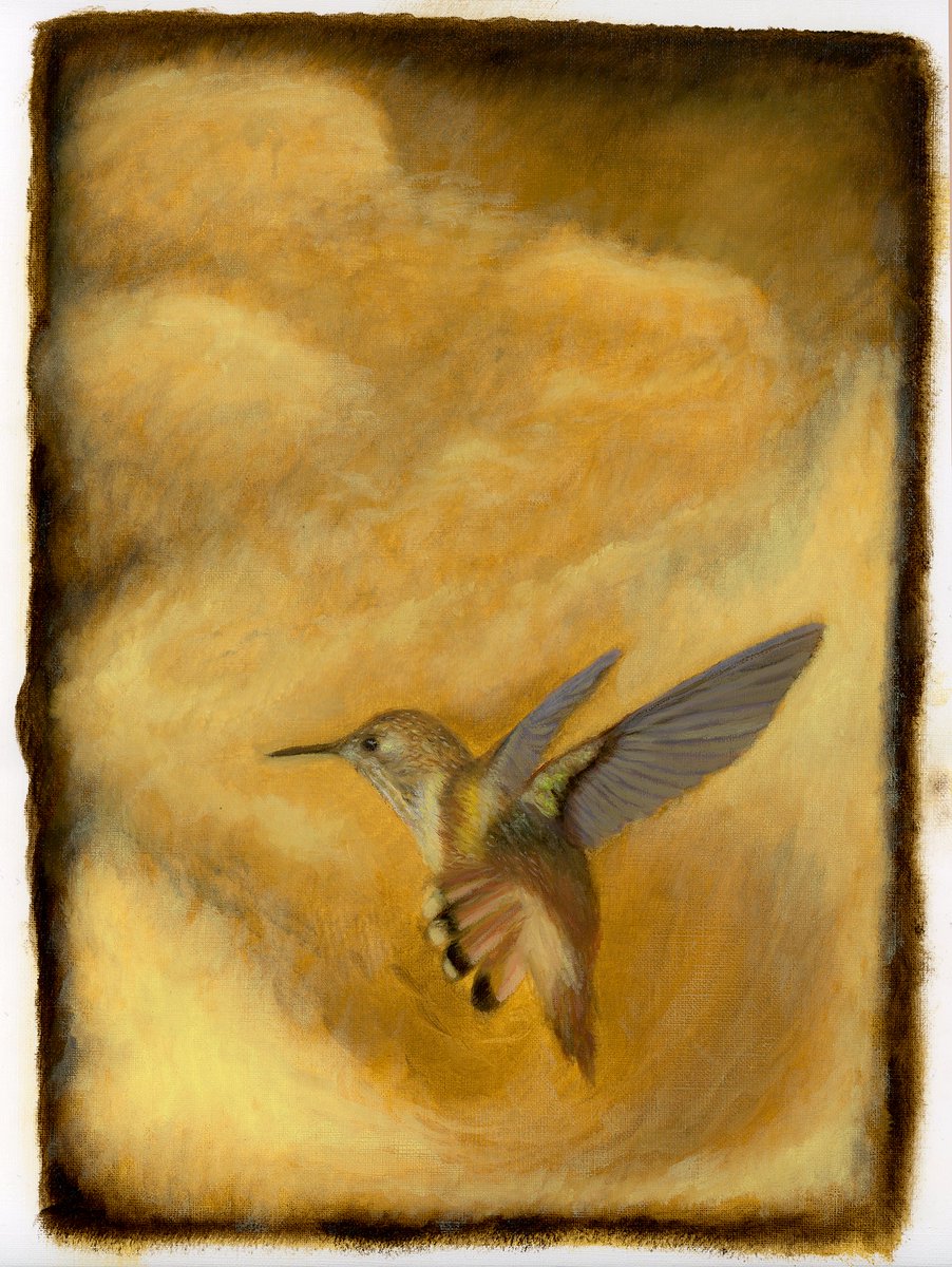 GreyOwlStudio's tweet photo. Hummingbirds are on my mind again as they currently fight over the feeder outside. Pretty soon, they'll be off to Mexico again for the winter. I painted these two paintings last year around this time, and I'm offering them for sale for the first time. Links below. https://t.co/etHX2ePlNj