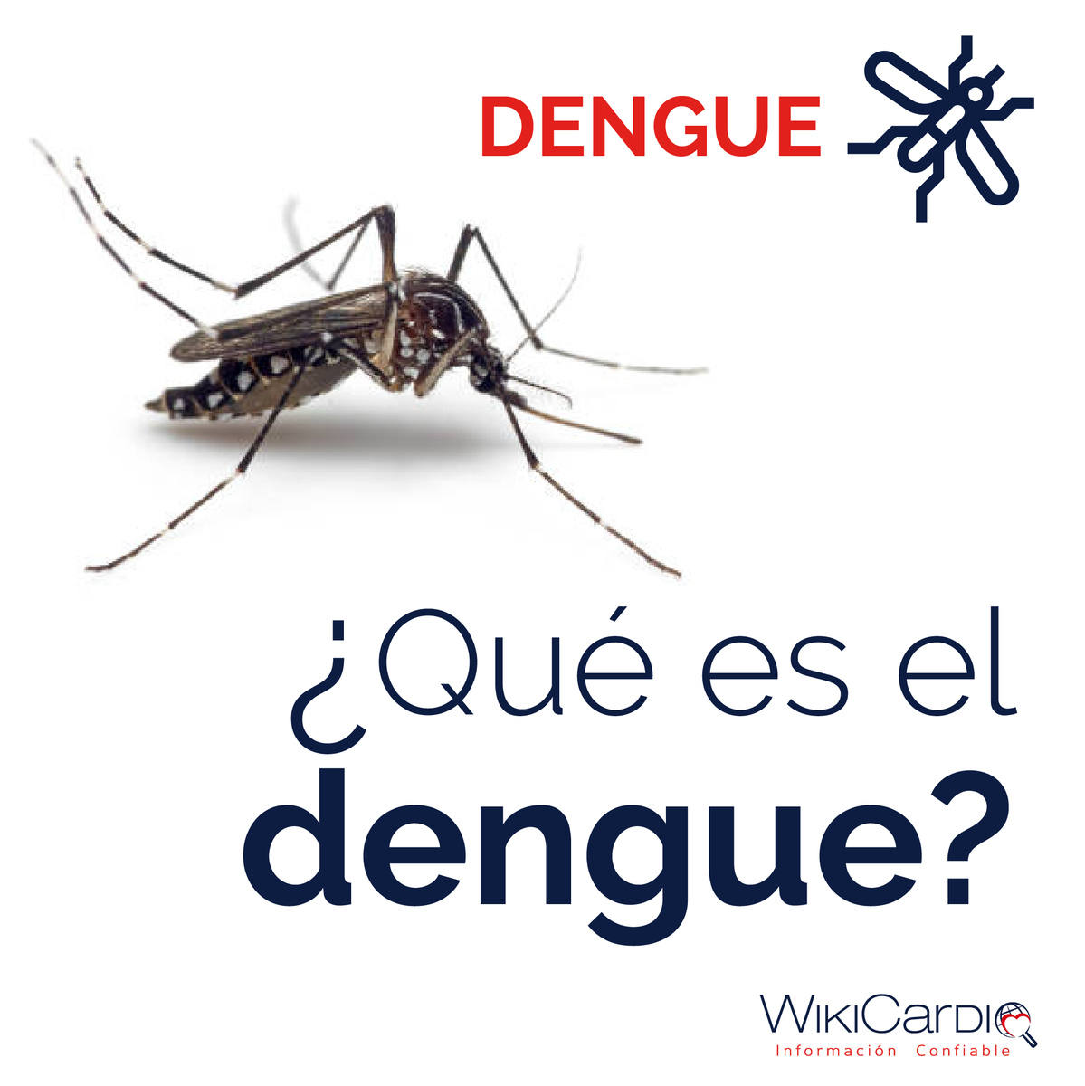 Wiki_Cardio's tweet photo. ¿Qué es el dengue?

El dengue es una enfermedad viral que se transmite únicamente a través de la picadura de la hembra infectada del mosquito Aedes aegypti.

#dengue
#enfermedadviral
#virusdeldengue
#picaduradedengue https://t.co/HyUq3bJONw