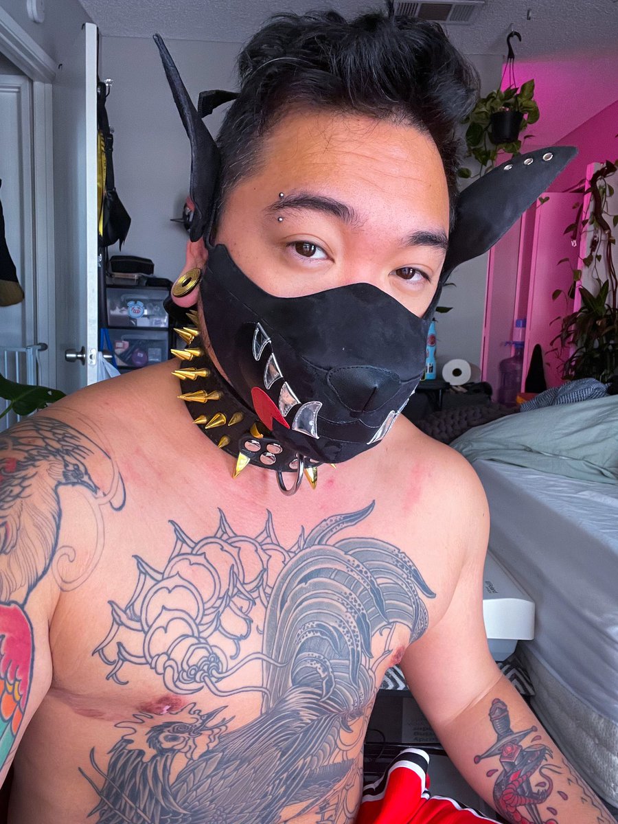 Woof 🐶