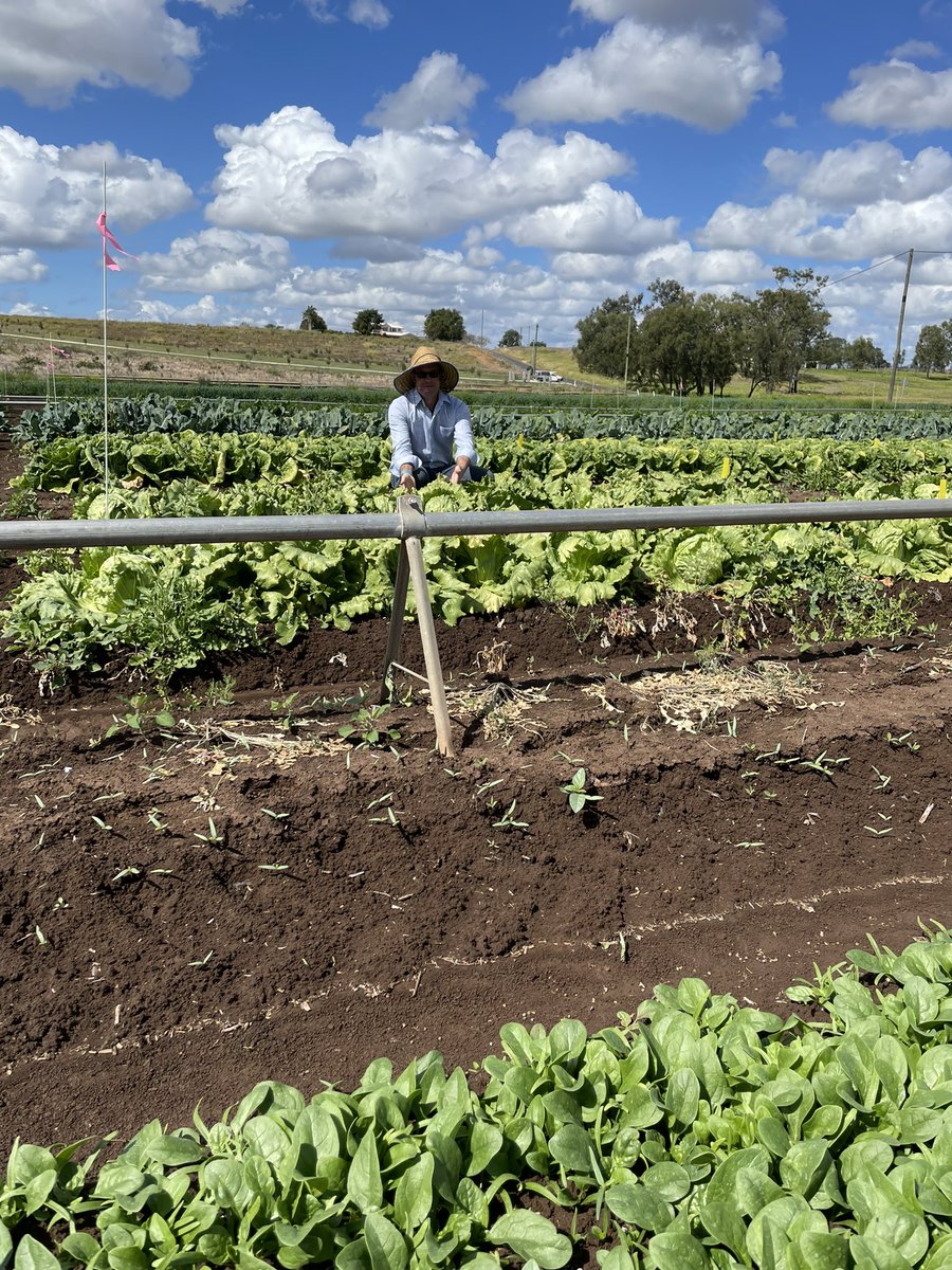 Shaun Cleary tweet media