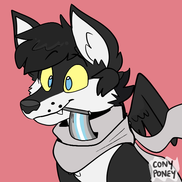 Ace the dumb dog tweet media