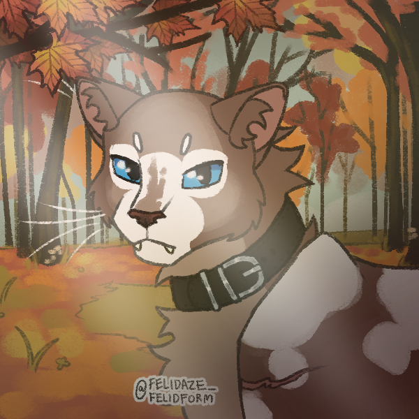 Ace the dumb dog tweet media