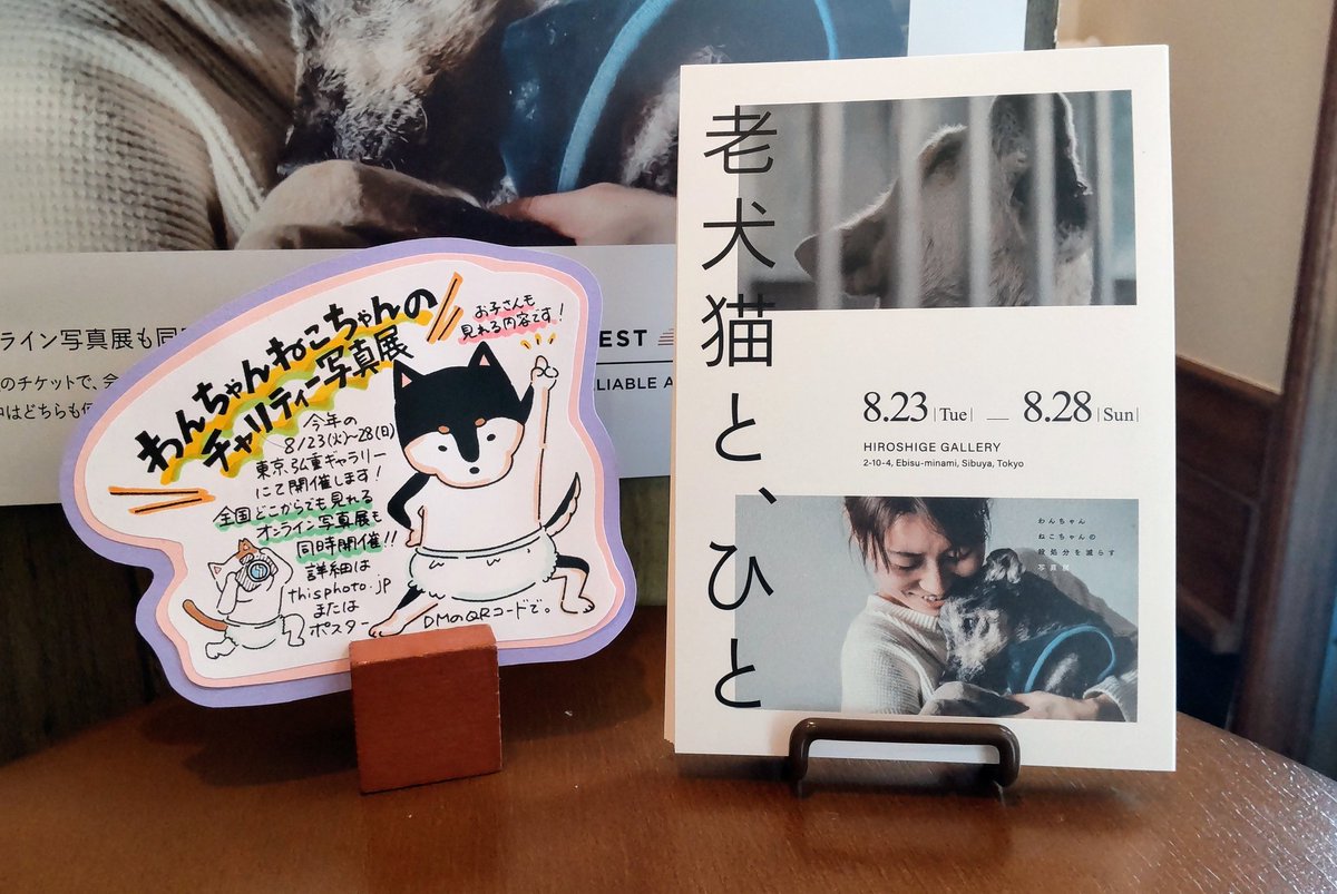 chacoaqua's tweet photo. わんちゃんねこちゃんのチャリティー写真展「老犬猫と、ひと」のDMをお配りしてます。8/23〜28東京弘重ギャラリーにて開催、全国どこから���も見られるオンライン写真展も同時開催！@THISPHOTO_KYOTO 
私の不注意でポスターがへなへなに…😭🙏そして梱包材に描いてくれた踊る猫が素敵すぎて額装決定😻✨ https://t.co/kZCfaFa5yQ