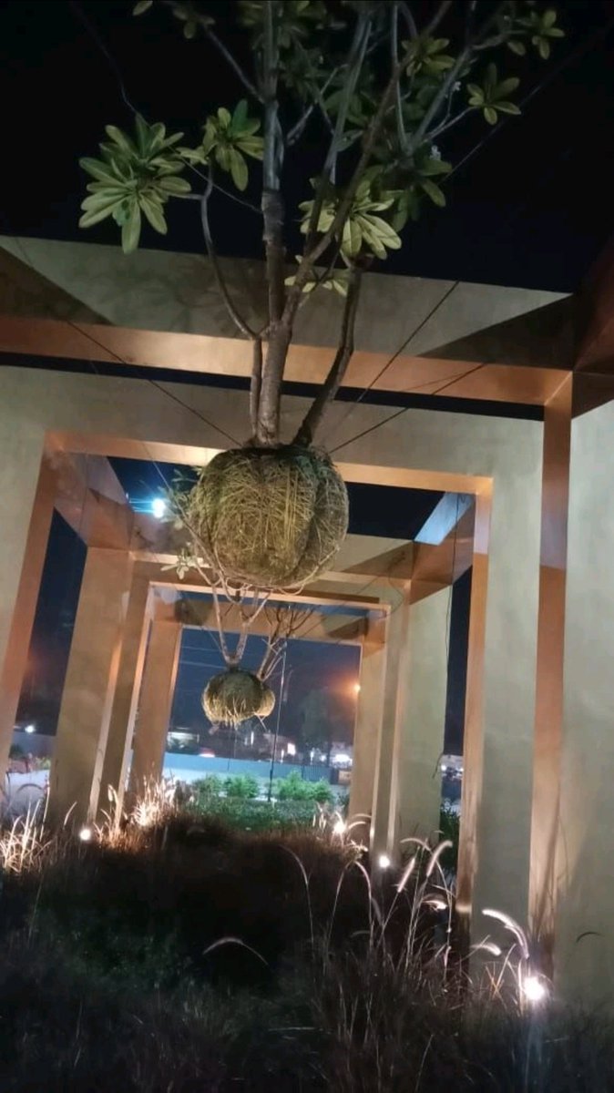 jha_yatendra's tweet photo. In the name fantasizing, they have held even #trees by neck to name it #FloatingTree ...we see lots of trees uprooting everywhere due to #GlobalWarming 😡 https://t.co/OEYmbZVRgD