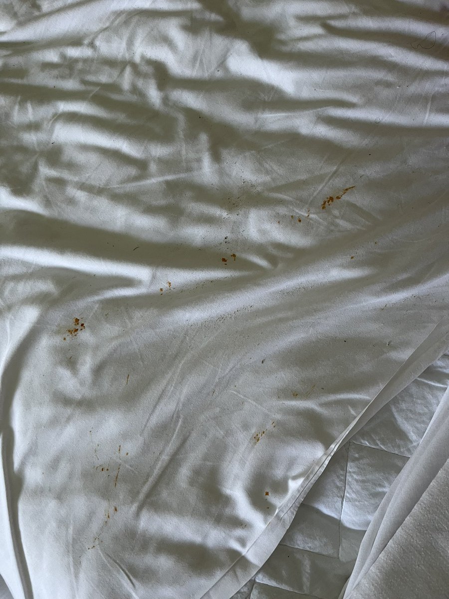 Elo BellaBambina tweet media