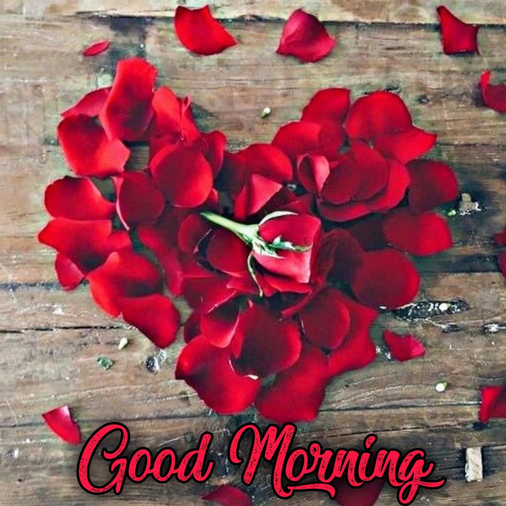 MorchaThe's tweet photo. Joins us for latest Digital Marketing to grow your business online. 
💢💢💢💢💢💢💢💢💢💢💢 #dailyupdate #themorcha #dailycurrent #5g https://t.co/X4ibBQrmGZ