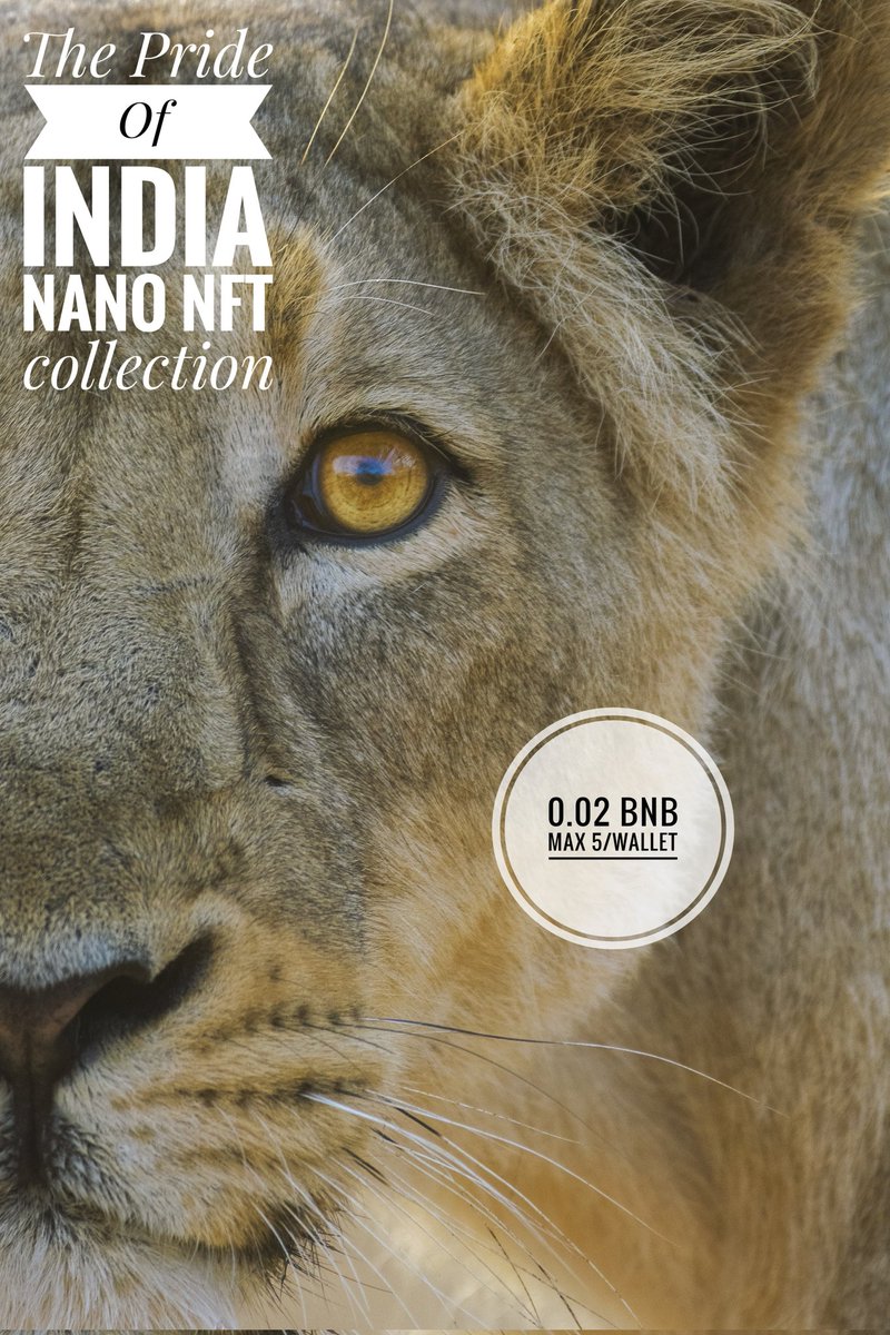 iamyogesh59's tweet photo. Good morning & happy weekend Fam ❤️
Asiatic Lion, The Pride Of India.
Only 9/20 available now
At 0.02 BNB
Go n mint..
https://t.co/jMQLn3c1YU
#nanonft
1/2 https://t.co/CdIIJpkeF4