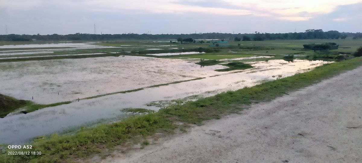 বাংলা প্রকৃতি কোনটা