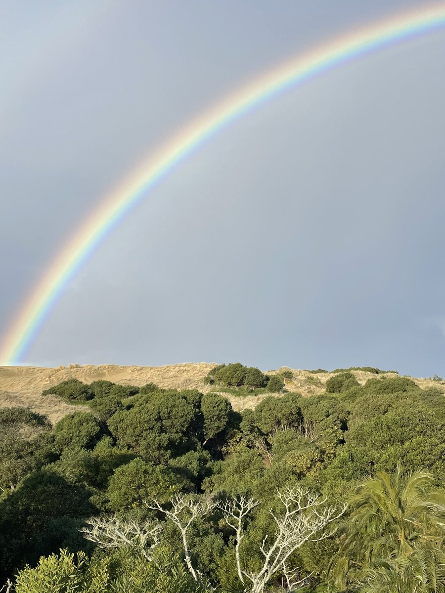 sasanof's tweet photo. demi-rainbow 🌈 #TheDune #TernPoint #Mangawhai https://t.co/w4Lf4XMKtv