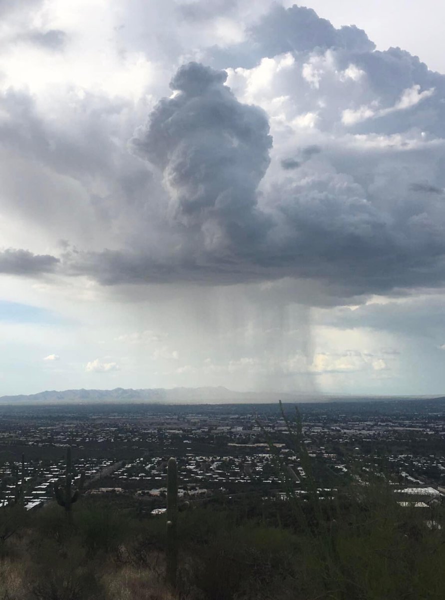bobfinn's tweet photo. Photo taken yesterday by my neighbor Jeannette Hanby of a storm over Tucson. Has there ever been a clearer photo of the Rain God in his cloud? Looks like he’s standing at a urinal! https://t.co/oebIxJAOXK