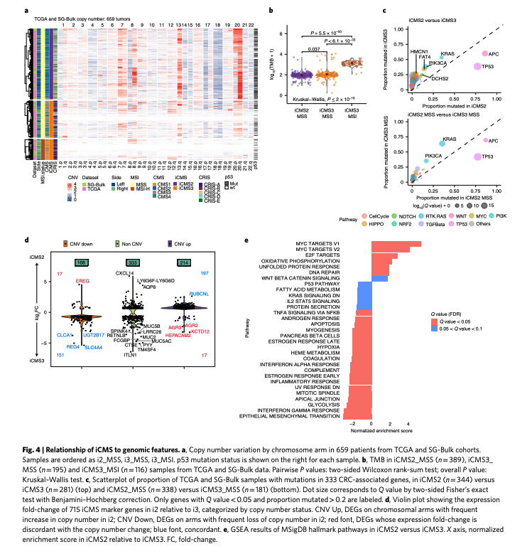 Single-cell and bulk transcriptome sequencing identifies two epithelial tumor cell states and refines the consensus molecular classification of colorectal cancer | Nature Genetics
nature.com/articles/s4158…

#CancerResearch