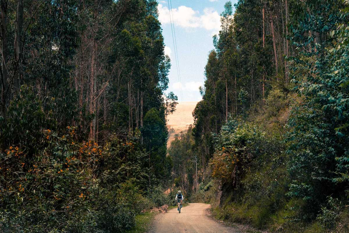 ReporterosUnid2's tweet photo. #Turismo #findesemana ¿Sin ideas para disfrutar de este fin de semana? Anímate a visitar el sur de Huancayo, desde los senderos que atraviesan Pucará hasta el centro poblado de Pucapuquio.
Lee la nota aquí https://t.co/4LeA3p0cK3 https://t.co/XlkNYdcQjw