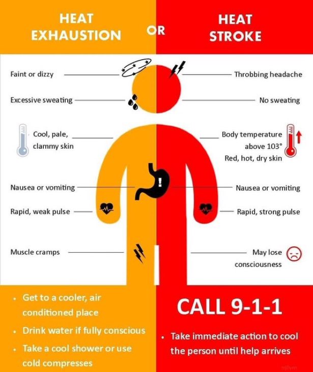 hinmanmiller's tweet photo. Pay attention. https://t.co/stkmhMbmz4