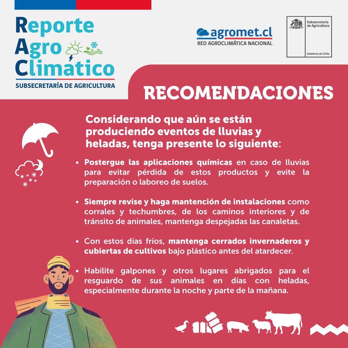 MinagriCL's tweet photo. 🔍Conoce la situación meteorológica, pronóstico para el agro, recomendaciones y las medidas implementadas por el @MinagriCL en un nuevo Reporte Agro Climático #RAC 🌥 🌱🙌🏻 https://t.co/M2kn86iI0O